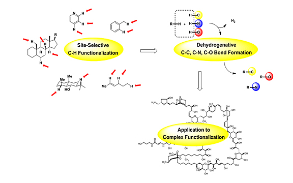 Catalytic C-H bond Activation for Direct C-C, C-O and C-N bond Formation