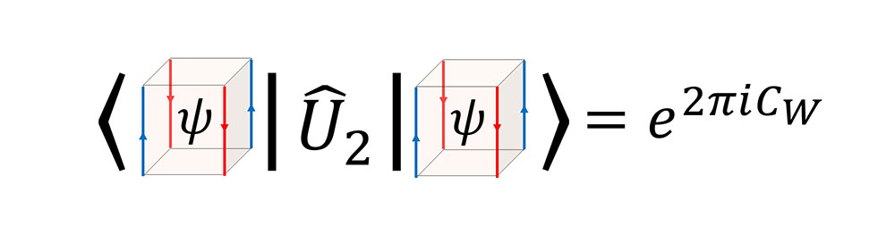 Topological Phases: Classifications, Design, and Detection