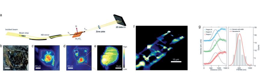 Figure Schematic of our setup. (b) Optical image of the sample. (c,d) False color images for two antiferromagnetic domains obtained by conventional method. (e) Image taken with our new method for the region inside the dotted square box. (f) High-resolution image of nano-scale domains. (g) Analysis of domain wall widths.