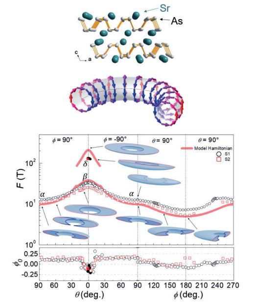 Figure. (Left top) Nodal-line semimetal candidate SrAs3 (Left bottom) Fermi surface and pseudospin texture of nodal-line electronic states (Right) Angle-dependent quantum oscillations and variation of Fermi surface crosssection and Berry phase.