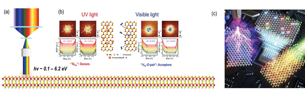 Figure 3. Reconfigurable 2D vdW integrated circuitry with light colors. (a) Schematic of light-lattice interactions in 2D materials. (b) Selective generation of active electron and hole dopants in 2D host lattices by choice of light wavelength. Individual electronic structures were probed by STM/S. (c) Schematic of reconfigurable 2D vdW integrated circuitry with light colors. (Nature Electronics, 4, 38-44, 2021)