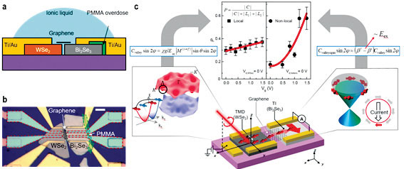 Figure 3. (a), Side-view of the WSe2-graphene-Bi2Se3 heterostructure device. (b), Optical microscope image of the heterostructure device. (c), Schematics for the generation, manipulation, and detection of valley-spin-coupled photocurrent. Polarization, P represents the fidelity of quantum degree-of-freedom, which has been modulated at the non-local measurement scheme.