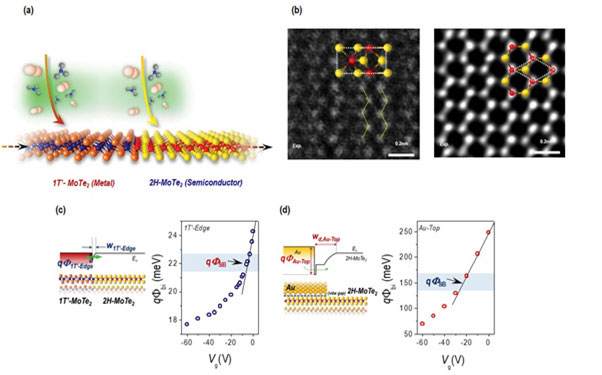 Figure 3. Polymorphic integration of few-layer 1T’/2H-MoTe2 crystals within the same atomic planes by sequential lateral heteroepitaxy. (a) Sequential growth scheme for coplanar heteroepitaxy of 1T’/2H-MoTe2 polymorphs. (b) HAADF-TEM image of 1T’/2H-MoTe2 and 2H-MoTe2 .effective qΦbi as a function of Vg in the 1T′-coplanar contact (c) and Au-top contact (d), where qΦSB is the Schottky barrier height.