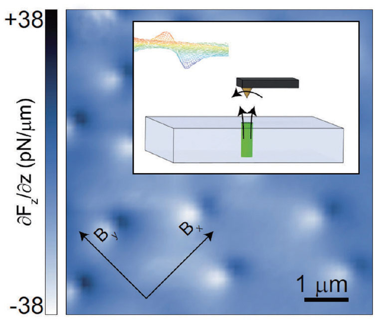 Figure 9. Image of magnetic vortices in a superconducting Nb film obtained by our 3He magnetic force microscope