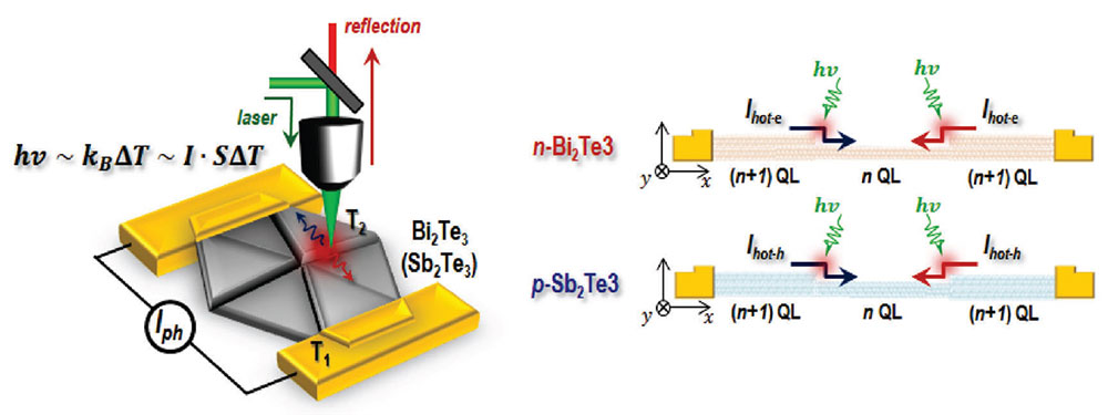 Figure 4. 국소 광전류 측정법을 통한 위상절연체 원자막 층간 헤테로계면에서의 광여기 열전 변환 현상탐구 모식도 (왼쪽) 원자층의 개수와 carrier type에 따라 열전 변환의 방향이 달라진다(오른쪽).