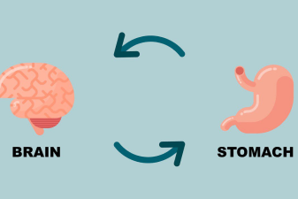 Stomach-Brain Axis (SBA):Unveiling the stomach-brain connection